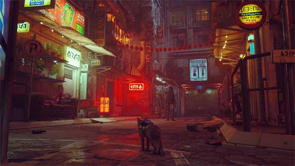 Stray保险箱神秘密码是什么