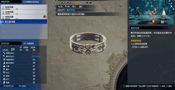 最终幻想7重生紫水晶项圈在哪